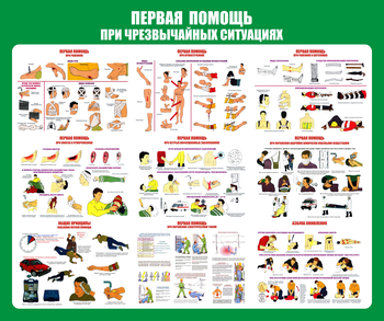 С20-1 Стенд Оказание первой помощи при ЧС (670х800 мм, пластик ПВХ 3 мм, алюминиевый багет серебряного цвета) - Стенды - Стенды по первой медицинской помощи - Магазин охраны труда и техники безопасности stroiplakat.ru